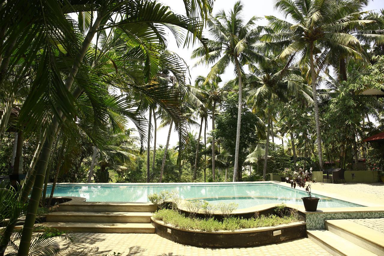 Joys Resort Poovar 特里凡得琅 外观 照片