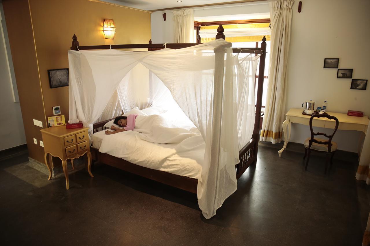 Joys Resort Poovar 特里凡得琅 外观 照片